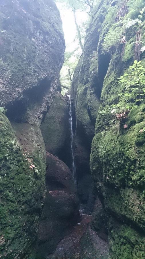 Schoene Aussicht, Wallbox, 70Qm, Kontaktloser Check-In Eisenach Buitenkant foto