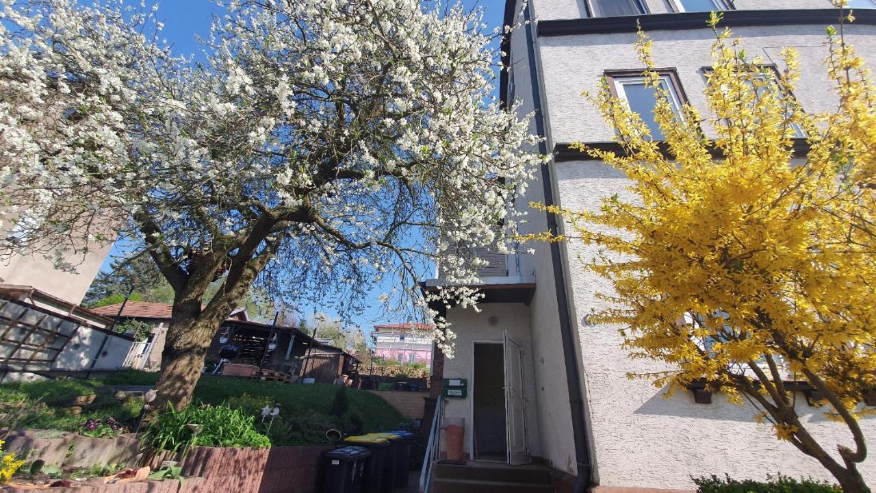Schoene Aussicht, Wallbox, 70Qm, Kontaktloser Check-In Eisenach Buitenkant foto